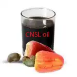 Cashew Nut Shell Liquid